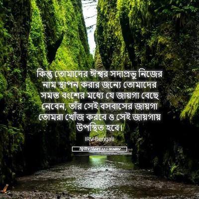 Picture 05 - দ্বিতীয় বিৱৰণ 12:5 BENIRV - কিন্তু তোমাদের - Bible Verse Picture