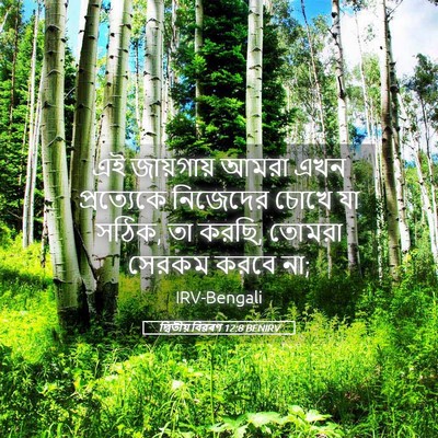 Picture 05 - দ্বিতীয় বিৱৰণ 12:8 BENIRV - এই জায়গায় আমরা - Bible Verse Picture
