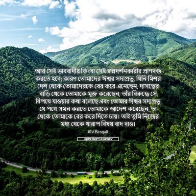 Picture 05 - দ্বিতীয় বিৱৰণ 13:5 BENIRV - আর সেই ভাববাদীর - Bible Verse Picture