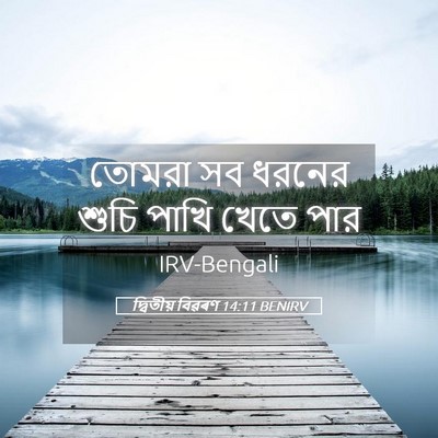 Picture 05 - দ্বিতীয় বিৱৰণ 14:11 BENIRV - তোমরা সব ধরনের - Bible Verse Picture
