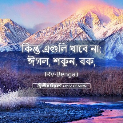 Picture 05 - দ্বিতীয় বিৱৰণ 14:12 BENIRV - কিন্তু এগুলি খাবে - Bible Verse Picture