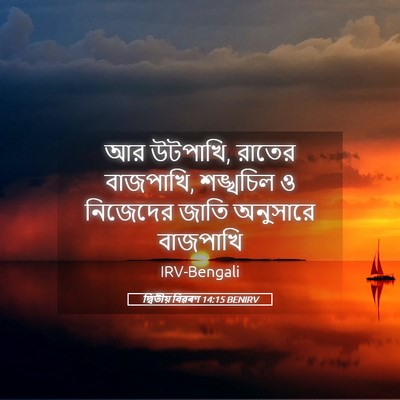 Picture 05 - দ্বিতীয় বিৱৰণ 14:15 BENIRV - আর উটপাখি, রাতের - Bible Verse Picture