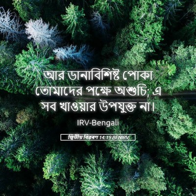 Picture 05 - দ্বিতীয় বিৱৰণ 14:19 BENIRV - আর ডানাবিশিষ্ট - Bible Verse Picture