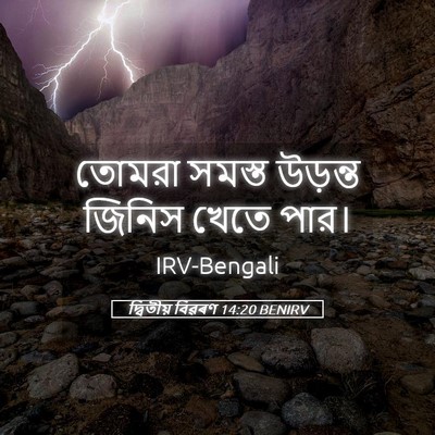 Picture 05 - দ্বিতীয় বিৱৰণ 14:20 BENIRV - তোমরা সমস্ত - Bible Verse Picture