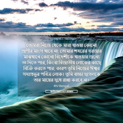 Picture 05 - দ্বিতীয় বিৱৰণ 14:21 BENIRV - তোমরা নিজে থেকে - Bible Verse Picture