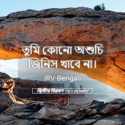 Picture 05 - দ্বিতীয় বিৱৰণ 14:3 BENIRV - তুমি কোনো অশুচি - Bible Verse Picture