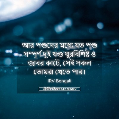 Picture 05 - দ্বিতীয় বিৱৰণ 14:6 BENIRV - আর পশুদের মধ্যে যত - Bible Verse Picture