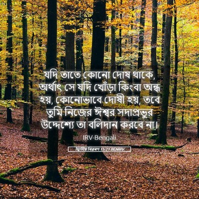 Picture 05 - দ্বিতীয় বিৱৰণ 15:21 BENIRV - যদি তাতে কোনো দোষ - Bible Verse Picture