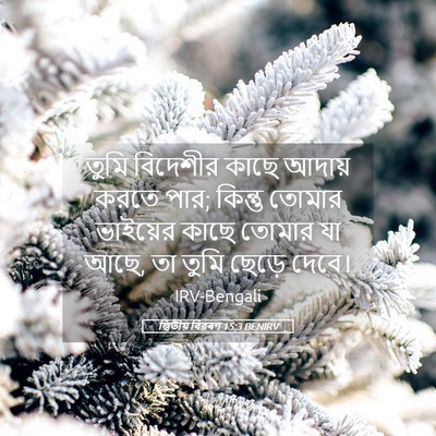 Picture 05 - দ্বিতীয় বিৱৰণ 15:3 BENIRV - তুমি বিদেশীর কাছে - Bible Verse Picture