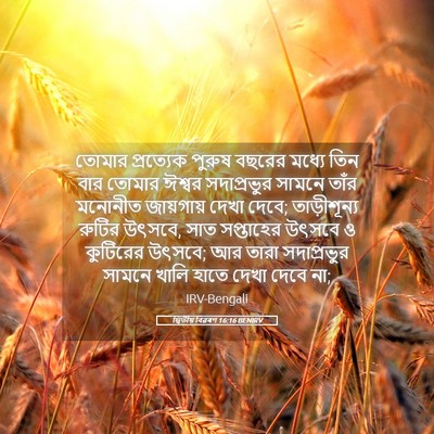 Picture 05 - দ্বিতীয় বিৱৰণ 16:16 BENIRV - তোমার প্রত্যেক - Bible Verse Picture