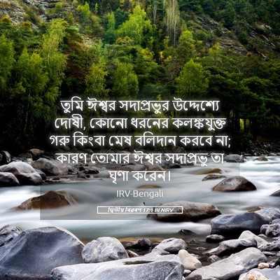 Picture 05 - দ্বিতীয় বিৱৰণ 17:1 BENIRV - তুমি ঈশ্বর - Bible Verse Picture