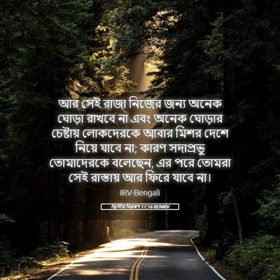 Picture 05 - দ্বিতীয় বিৱৰণ 17:16 BENIRV - আর সেই রাজা নিজের - Bible Verse Picture