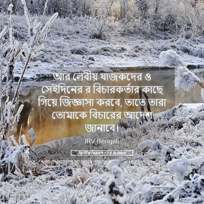 Picture 05 - দ্বিতীয় বিৱৰণ 17:9 BENIRV - আর লেবীয় যাজকদের - Bible Verse Picture