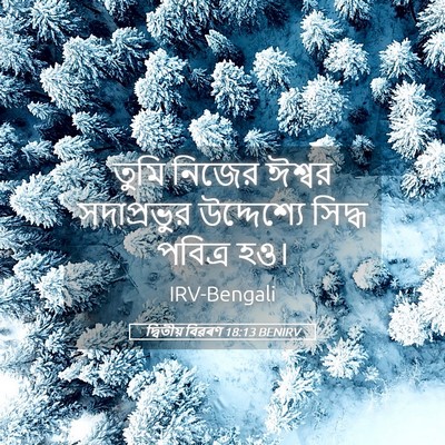 Picture 05 - দ্বিতীয় বিৱৰণ 18:13 BENIRV - তুমি নিজের ঈশ্বর - Bible Verse Picture