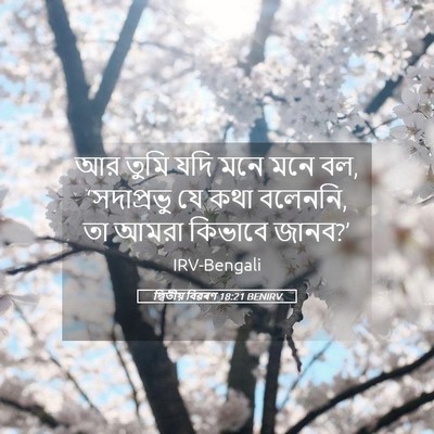 Picture 05 - দ্বিতীয় বিৱৰণ 18:21 BENIRV - আর তুমি যদি মনে মনে - Bible Verse Picture