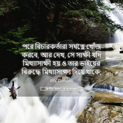 Picture 05 - দ্বিতীয় বিৱৰণ 19:18 BENIRV - পরে বিচারকর্তারা - Bible Verse Picture