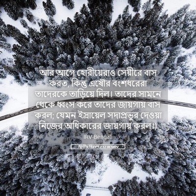 Picture 05 - দ্বিতীয় বিৱৰণ 2:12 BENIRV - আর আগে হোরীয়েরাও - Bible Verse Picture