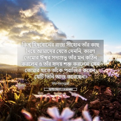 Picture 05 - দ্বিতীয় বিৱৰণ 2:30 BENIRV - কিন্তু হিষ্‌বোনের - Bible Verse Picture