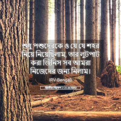 Picture 05 - দ্বিতীয় বিৱৰণ 2:35 BENIRV - শুধু পশুদেরকে ও যে - Bible Verse Picture