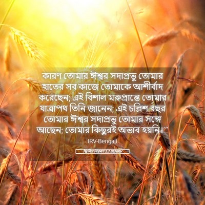 Picture 05 - দ্বিতীয় বিৱৰণ 2:7 BENIRV - কারণ তোমার ঈশ্বর - Bible Verse Picture
