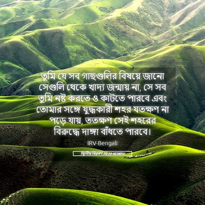 Picture 05 - দ্বিতীয় বিৱৰণ 20:20 BENIRV - তুমি যে সব - Bible Verse Picture