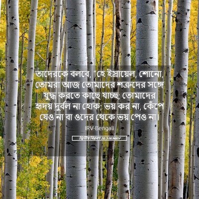 Picture 05 - দ্বিতীয় বিৱৰণ 20:3 BENIRV - তাদেরকে বলবে, “হে - Bible Verse Picture