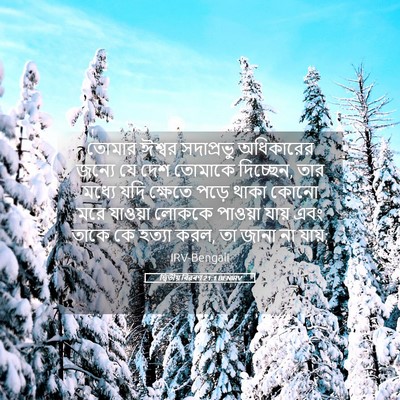 Picture 05 - দ্বিতীয় বিৱৰণ 21:1 BENIRV - তোমার ঈশ্বর - Bible Verse Picture