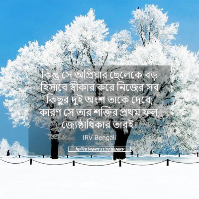 Picture 05 - দ্বিতীয় বিৱৰণ 21:17 BENIRV - কিন্তু সে - Bible Verse Picture