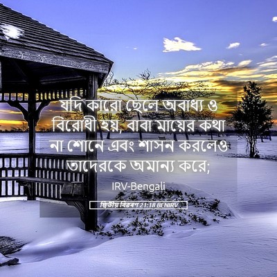Picture 05 - দ্বিতীয় বিৱৰণ 21:18 BENIRV - যদি কারো ছেলে - Bible Verse Picture