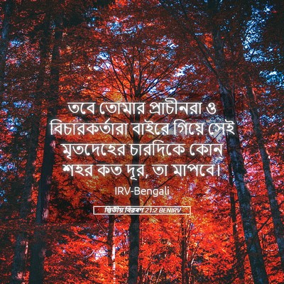 Picture 05 - দ্বিতীয় বিৱৰণ 21:2 BENIRV - তবে তোমার - Bible Verse Picture
