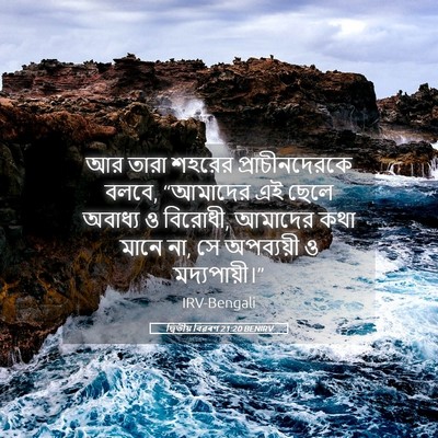 Picture 05 - দ্বিতীয় বিৱৰণ 21:20 BENIRV - আর তারা শহরের - Bible Verse Picture