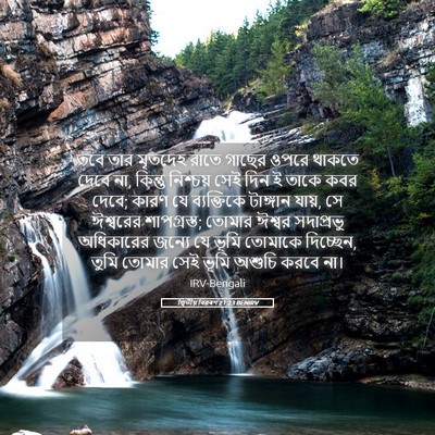 Picture 05 - দ্বিতীয় বিৱৰণ 21:23 BENIRV - তবে তার মৃতদেহ - Bible Verse Picture