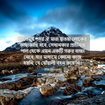 Picture 05 - দ্বিতীয় বিৱৰণ 21:3 BENIRV - তাতে যে শহর ঐ মারা - Bible Verse Picture