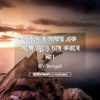 Picture 05 - দ্বিতীয় বিৱৰণ 22:10 BENIRV - বলদে ও গাধায় এক - Bible Verse Picture