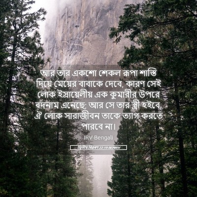 Picture 05 - দ্বিতীয় বিৱৰণ 22:19 BENIRV - আর তার একশো শেকল - Bible Verse Picture