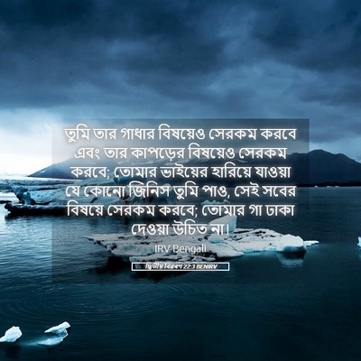 Picture 05 - দ্বিতীয় বিৱৰণ 22:3 BENIRV - তুমি তার গাধার - Bible Verse Picture