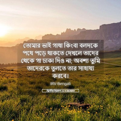 Picture 05 - দ্বিতীয় বিৱৰণ 22:4 BENIRV - তোমার ভাই গাধা - Bible Verse Picture