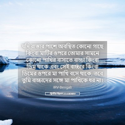 Picture 05 - দ্বিতীয় বিৱৰণ 22:6 BENIRV - যদি রাস্তার পাশে - Bible Verse Picture