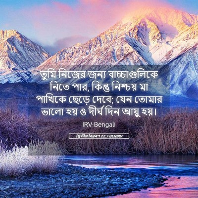 Picture 05 - দ্বিতীয় বিৱৰণ 22:7 BENIRV - তুমি নিজের জন্য - Bible Verse Picture