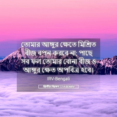 Picture 05 - দ্বিতীয় বিৱৰণ 22:9 BENIRV - তোমার আঙ্গুর - Bible Verse Picture