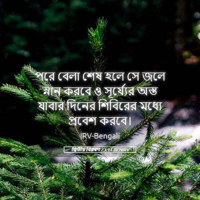 Picture 05 - দ্বিতীয় বিৱৰণ 23:11 BENIRV - পরে বেলা শেষ হলে সে - Bible Verse Picture