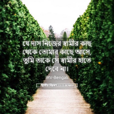 Picture 05 - দ্বিতীয় বিৱৰণ 23:15 BENIRV - যে দাস নিজের - Bible Verse Picture