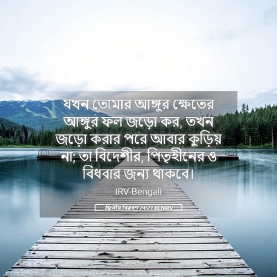 Picture 05 - দ্বিতীয় বিৱৰণ 24:21 BENIRV - যখন তোমার আঙ্গুর - Bible Verse Picture