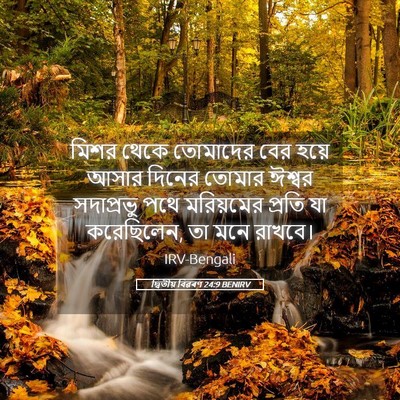 Picture 05 - দ্বিতীয় বিৱৰণ 24:9 BENIRV - মিশর থেকে তোমাদের - Bible Verse Picture