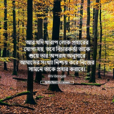 Picture 05 - দ্বিতীয় বিৱৰণ 25:2 BENIRV - আর যদি খারাপ লোক - Bible Verse Picture