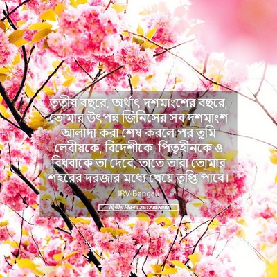 Picture 05 - দ্বিতীয় বিৱৰণ 26:12 BENIRV - তৃতীয় বছরে, - Bible Verse Picture