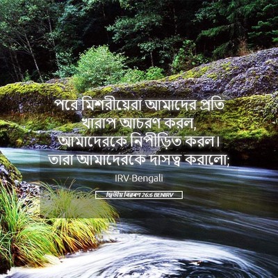 Picture 05 - দ্বিতীয় বিৱৰণ 26:6 BENIRV - পরে মিশরীয়েরা - Bible Verse Picture