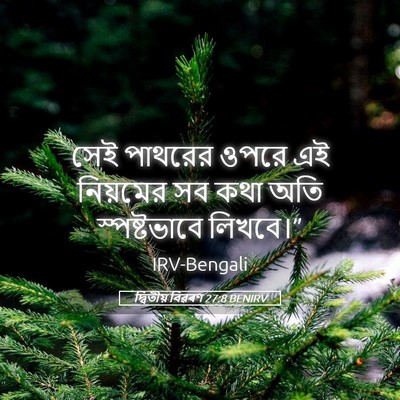 Picture 05 - দ্বিতীয় বিৱৰণ 27:8 BENIRV - সেই পাথরের ওপরে এই - Bible Verse Picture