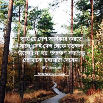 Picture 05 - দ্বিতীয় বিৱৰণ 28:21 BENIRV - তুমি যে দেশ অধিকার - Bible Verse Picture