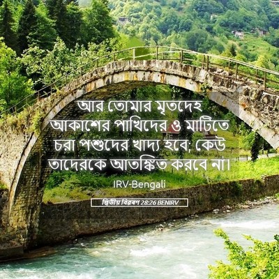 Picture 05 - দ্বিতীয় বিৱৰণ 28:26 BENIRV - আর তোমার মৃতদেহ - Bible Verse Picture